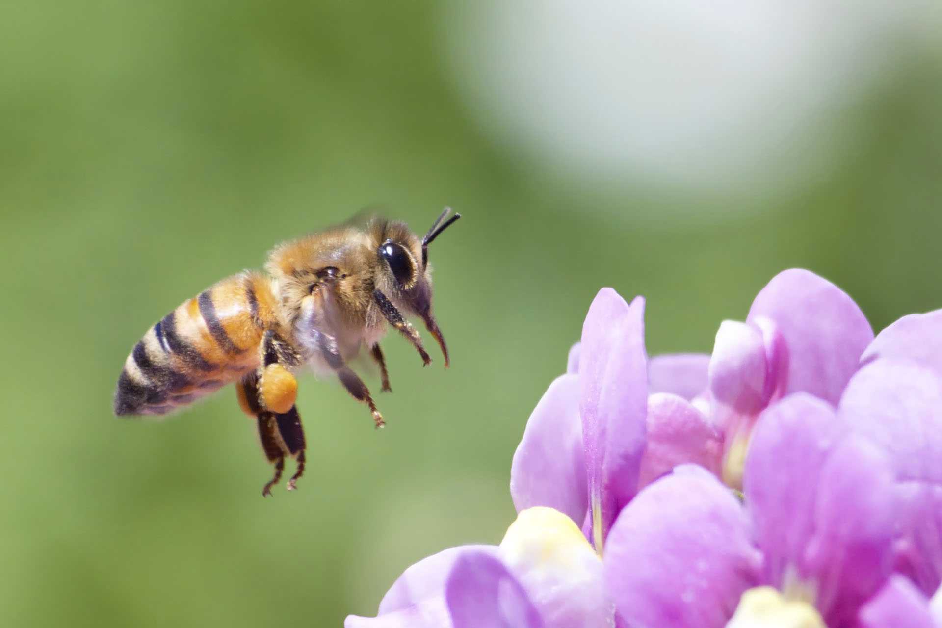 Garden Center Hardscape Materials Mechanicsville MD Lawn Care